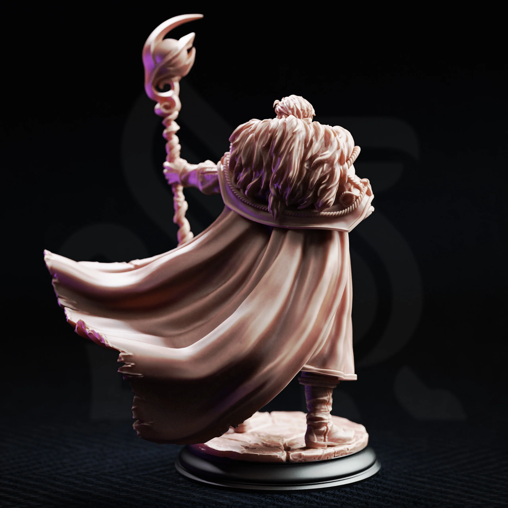 Frederik Vahlen - Professor of Progress // Miniatură D&D