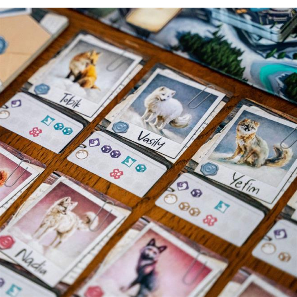 The Fox Experiment (Ediția Engleză)