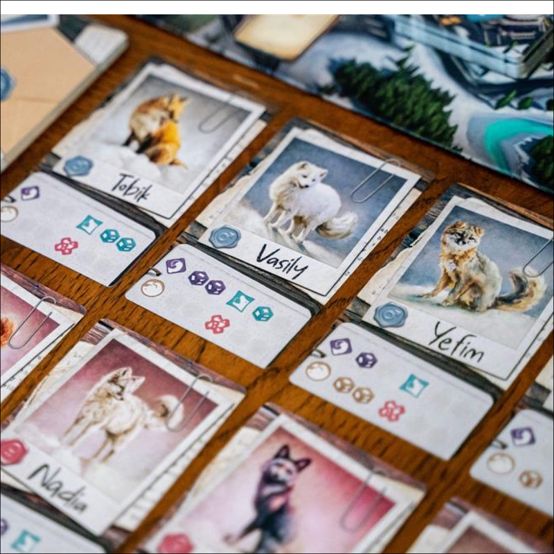 The Fox Experiment (Ediția Engleză)